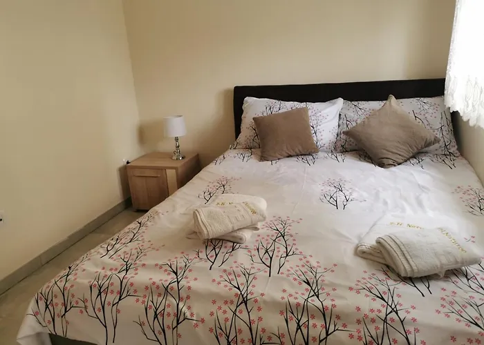 Hills Nature * Zlatibor