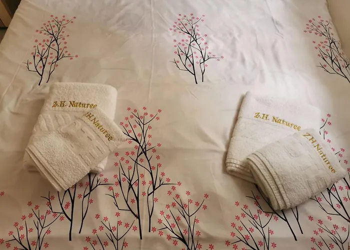 Hills Nature Lejlighed Zlatibor